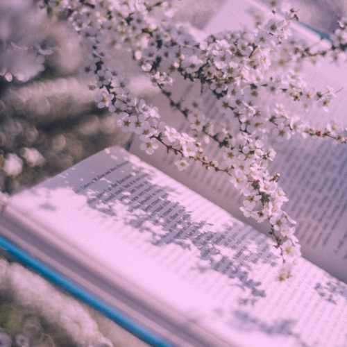 دانلود آهنگ داوود رستمی صفر تا صد